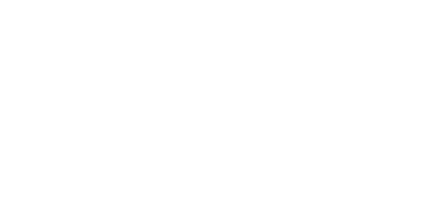 에이스게이밍 logo